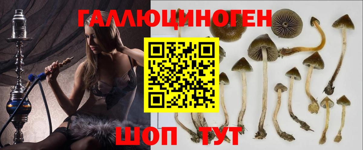 Галлюциногенные грибы MAGIC MUSHROOMS  Вход с VPN  Ирбит 
