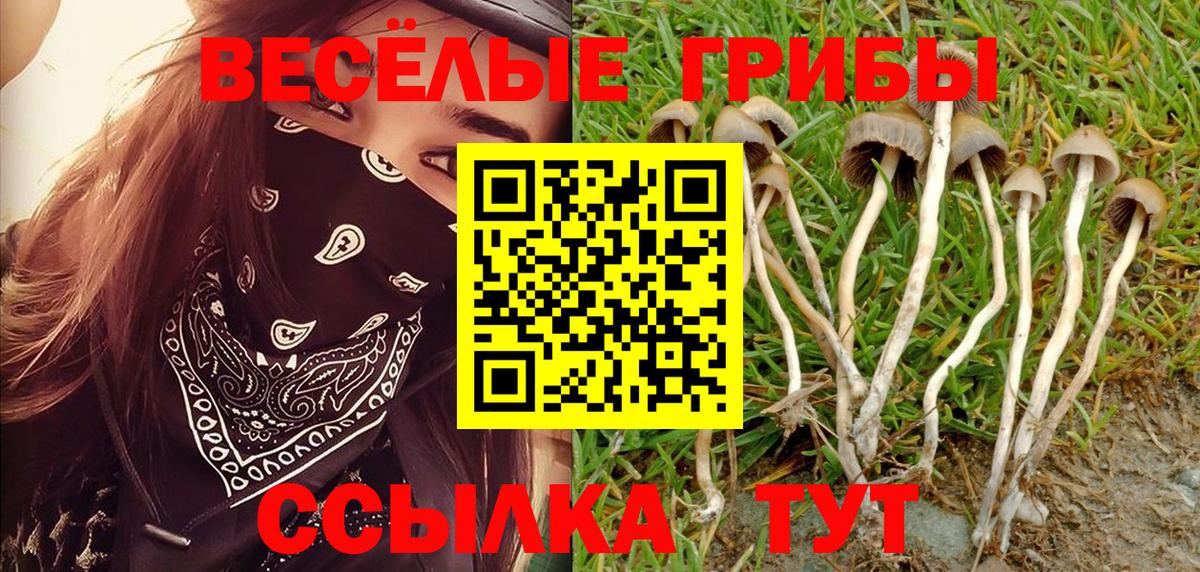 Псилоцибиновые грибы MAGIC MUSHROOMS Ирбит
